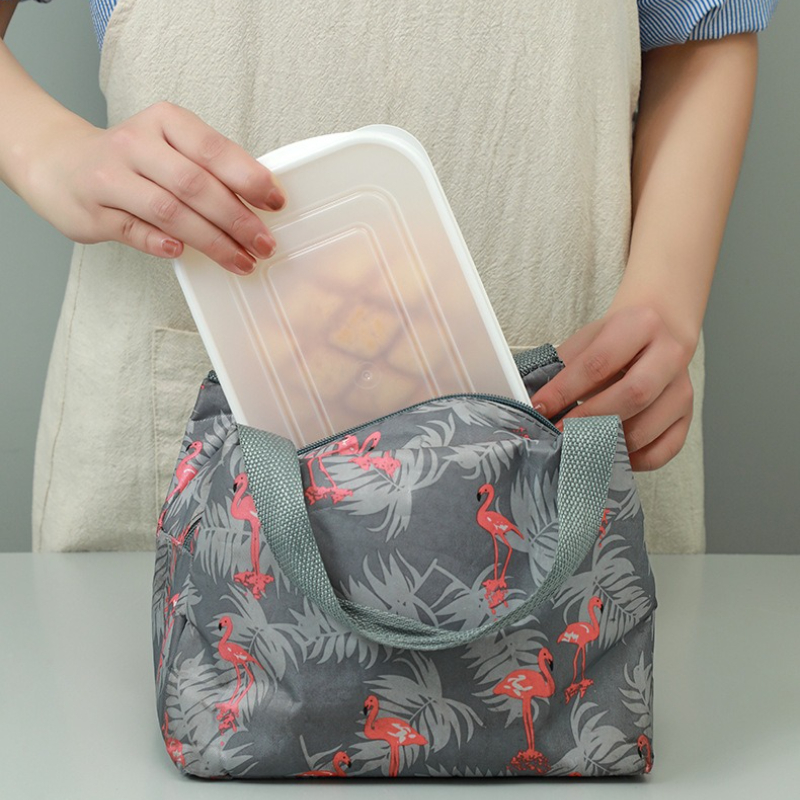 ภาชนะเก็บพลาสติกเกรดอาหารสุญญา - Meal Prep Tupperware บทวิจารณ์และราคา